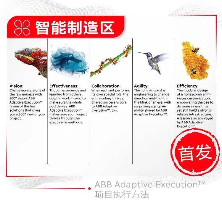 FB体育 FB体育平台这才是真正的自动化看完感觉自己落后数十年(图6)