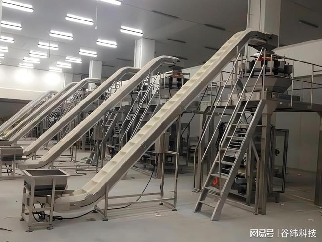 自动化鱼丸加工流水线：提升产能保障品质新选择FB体育 FB体育平台(图6)