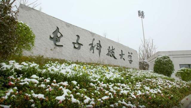 科技类大学2023年实力排名：141所大学上榜电子科技排FB体育 FB体育平台第3(图3)