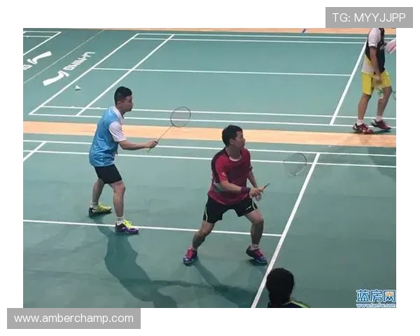 上海羽毛球队在全国羽毛球速度排行榜中荣获第十名的佳绩分析