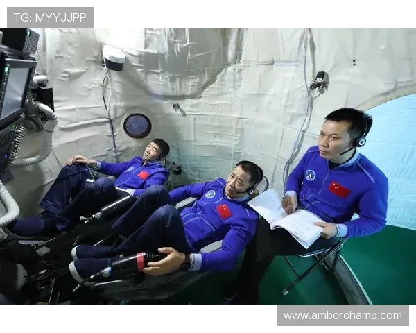 专访杨磊：探寻排球运动背后的成功秘诀与发展之路