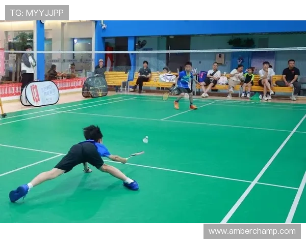 全国羽毛球灵活性评比结果揭晓上海队荣登第十名展现实力与潜力