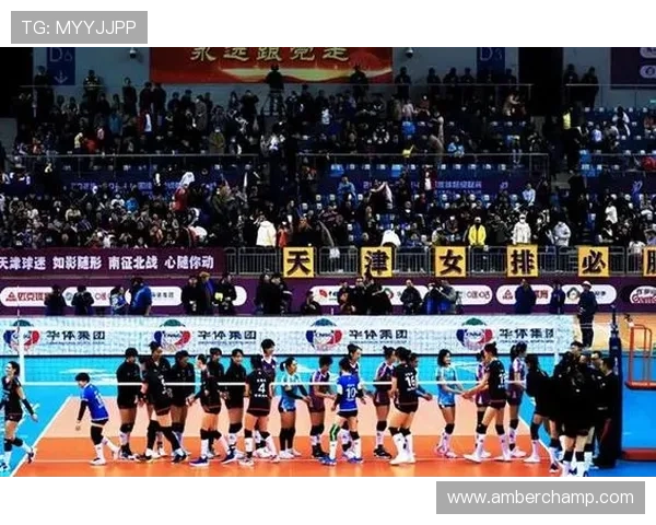 全国锦标赛最新积分榜揭晓北京排球队以65分稳居第一