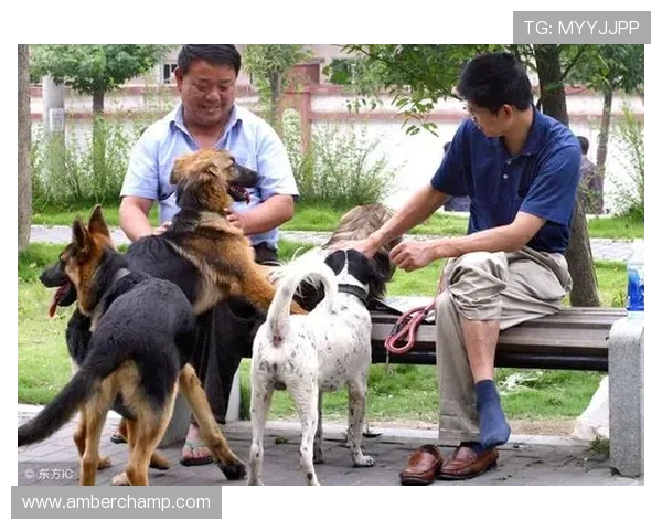 足球明星们的宠物生活揭秘：他们与爱犬爱猫的温馨时光